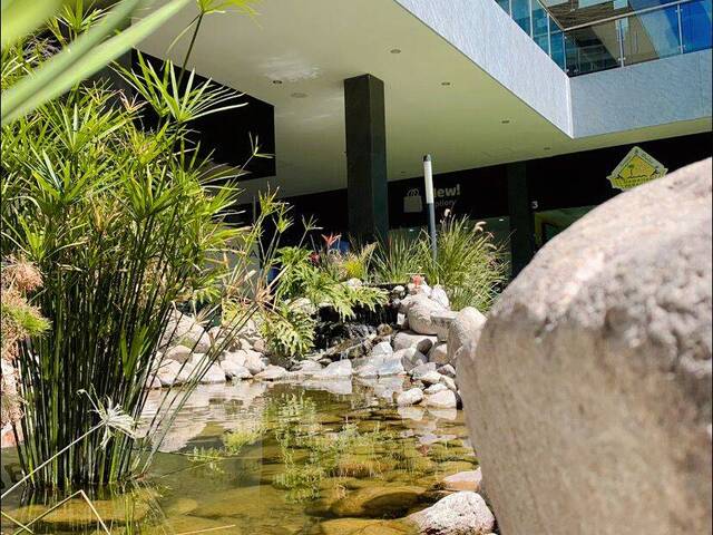 TERRAZA para Renta en Aguascalientes - 5
