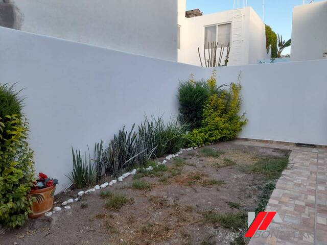 Casa para Renta en Aguascalientes - 5