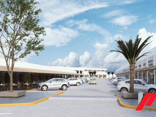 #810 - Plaza  Comercial para Venta en Aguascalientes - AS - 3