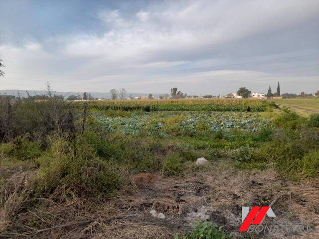 #845 - HABITACIONAL Y COMERCIAL para Venta en Jesús María - AS - 1